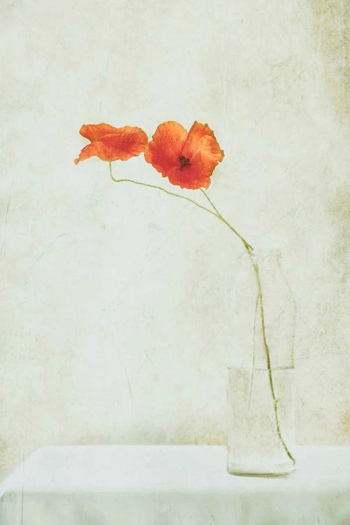 Two Poppies In A Bottle by Delphine Devos wall art