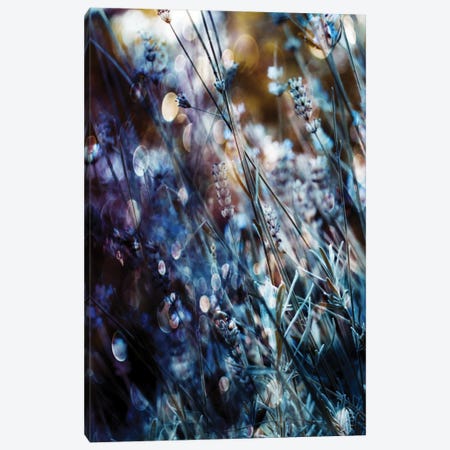 Flowers, Bubbles & Dreams Canvas Print #DDE6} by Delphine Devos Canvas Art
