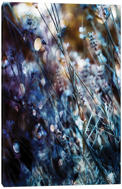 Flowers, Bubbles & Dreams Canvas Art Print