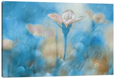 Singing In The Rain Canvas Art Print