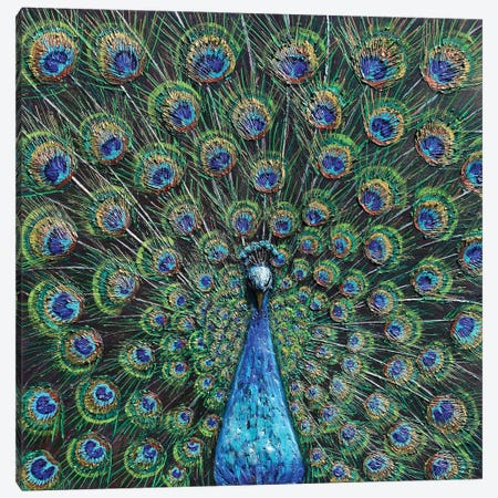 Peacock Canvas Print #DDG10} by Amanda Dagg Canvas Art