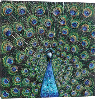 Peacock Canvas Art Print - Amanda Dagg