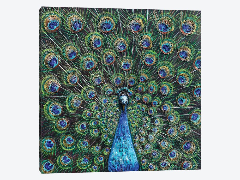 Peacock by Amanda Dagg 1-piece Canvas Print