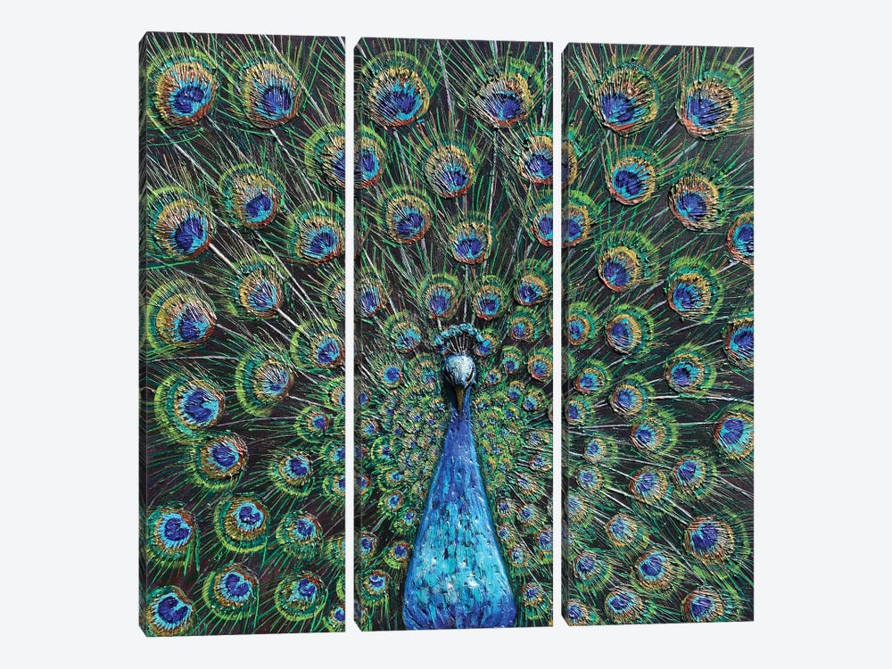 Peacock by Amanda Dagg 3-piece Canvas Print