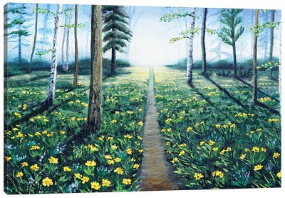 Path Through The Balsamroot Canvas Art Print - Wildflowers