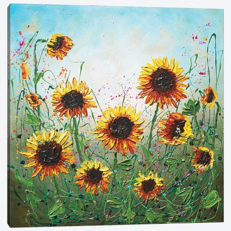 Blossoming Sunflowers Canvas Print #DDG20} by Amanda Dagg Canvas Art Print
