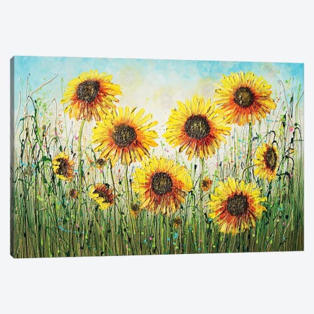 Sunflowers Basking In The Sun Canvas Print #DDG27} by Amanda Dagg Canvas Art