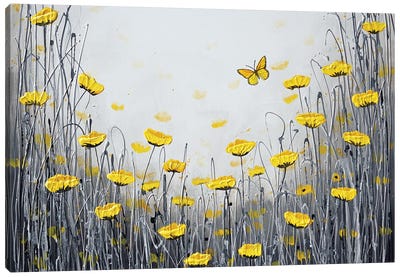 Happy Butterfly Canvas Art Print - Amanda Dagg