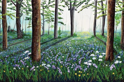 Bluebell Woods by Amanda Dagg multi panel art