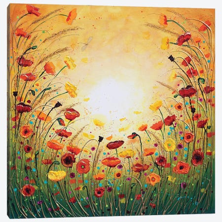 Sunshine Joyous Flowers Canvas Print #DDG34} by Amanda Dagg Canvas Print