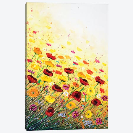 A Bloom Of Happiness Right Canvas Print #DDG42} by Amanda Dagg Art Print