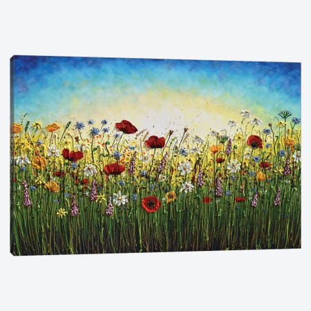 Summer Explosion Of Wildflowers Canvas Print #DDG7} by Amanda Dagg Canvas Wall Art