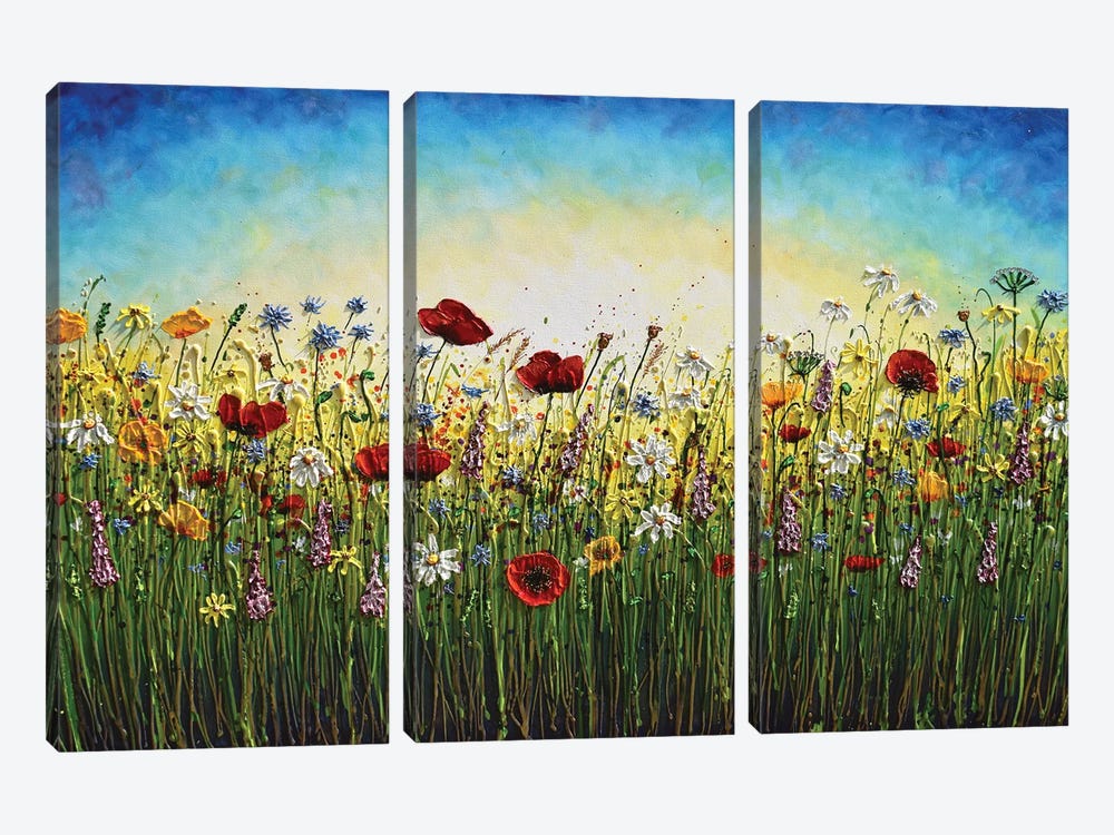 Summer Explosion Of Wildflowers by Amanda Dagg 3-piece Canvas Art