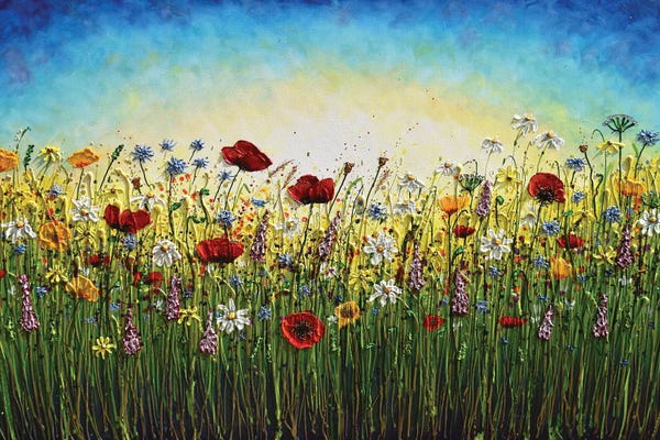 Amanda Dagg: Summer Explosion Of Wildflowers by Amanda Dagg