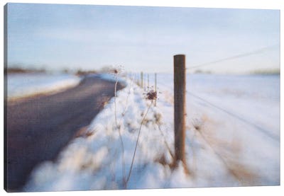 Walking On The Edge Of Winter Canvas Art Print