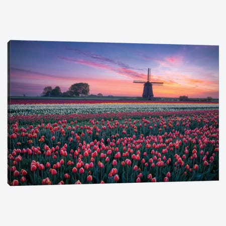 Windmill & Tulips  Canvas Print #DDJ27} by Dick van Duijn Canvas Print