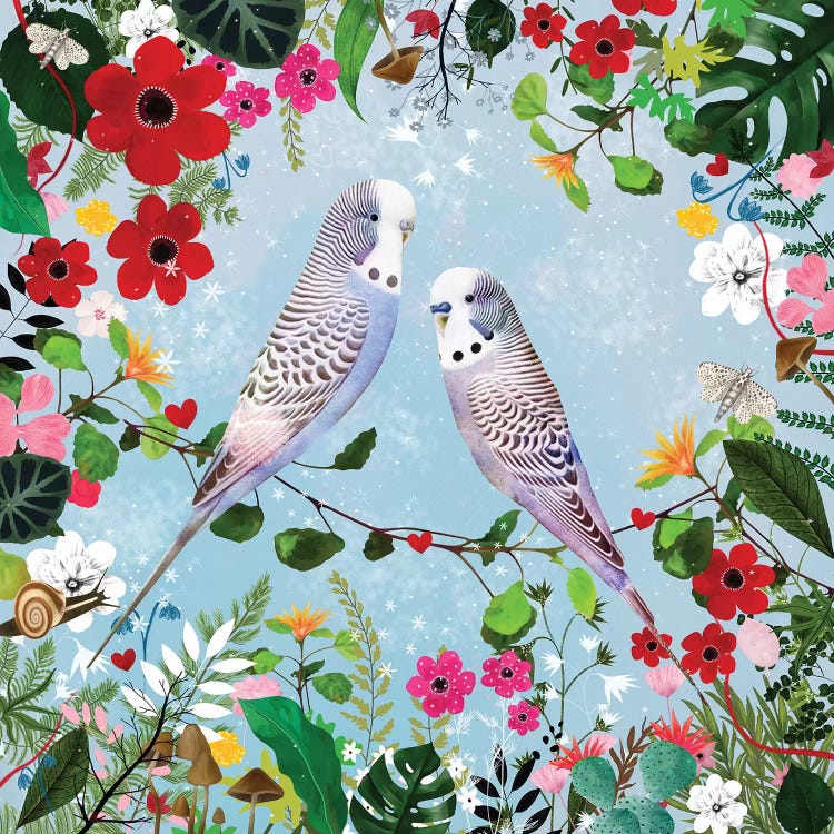 Budgerigars by Danse De Lune wall art