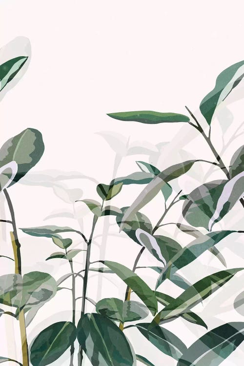 Greenhouse by Danse De Lune wall art