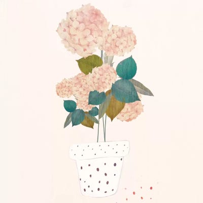 Imagined Plants by Danse De Lune framed canvas print