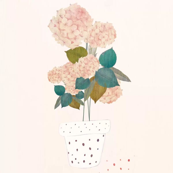 Danse De Lune: Imagined Plants by Danse De Lune