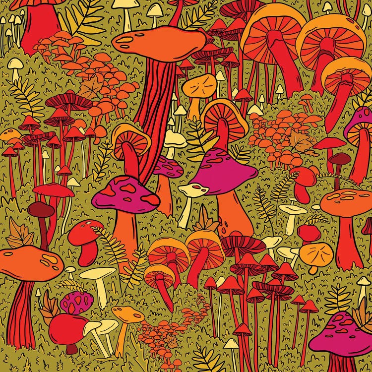 Mushrooms In The Forest