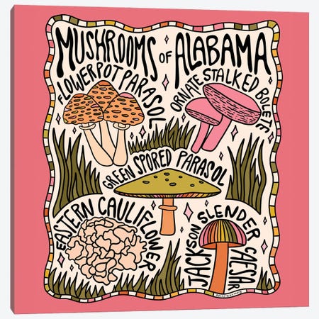 Mushrooms Of Alabama Canvas Print #DDM102} by Doodle By Meg Canvas Art Print