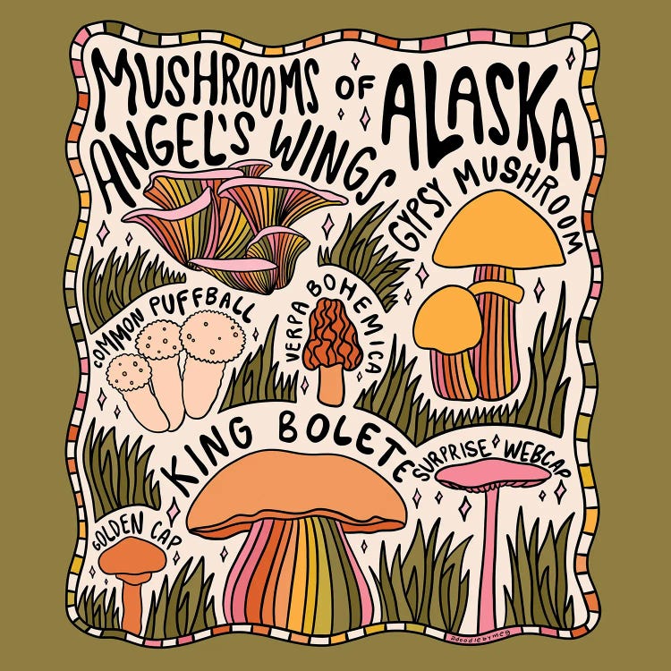 Mushrooms Of Alaska