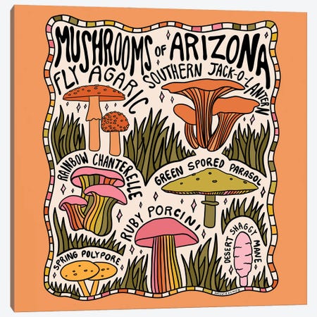 Mushrooms Of Arizona Canvas Print #DDM104} by Doodle By Meg Canvas Wall Art