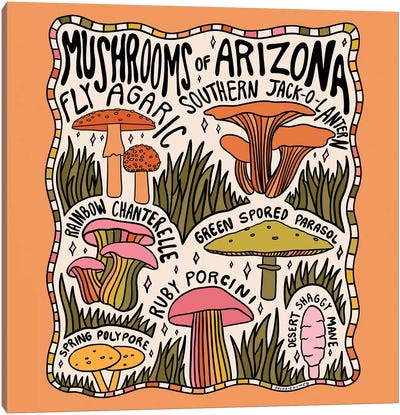 Mushrooms Of Arizona Canvas Art Print - Doodle By Meg