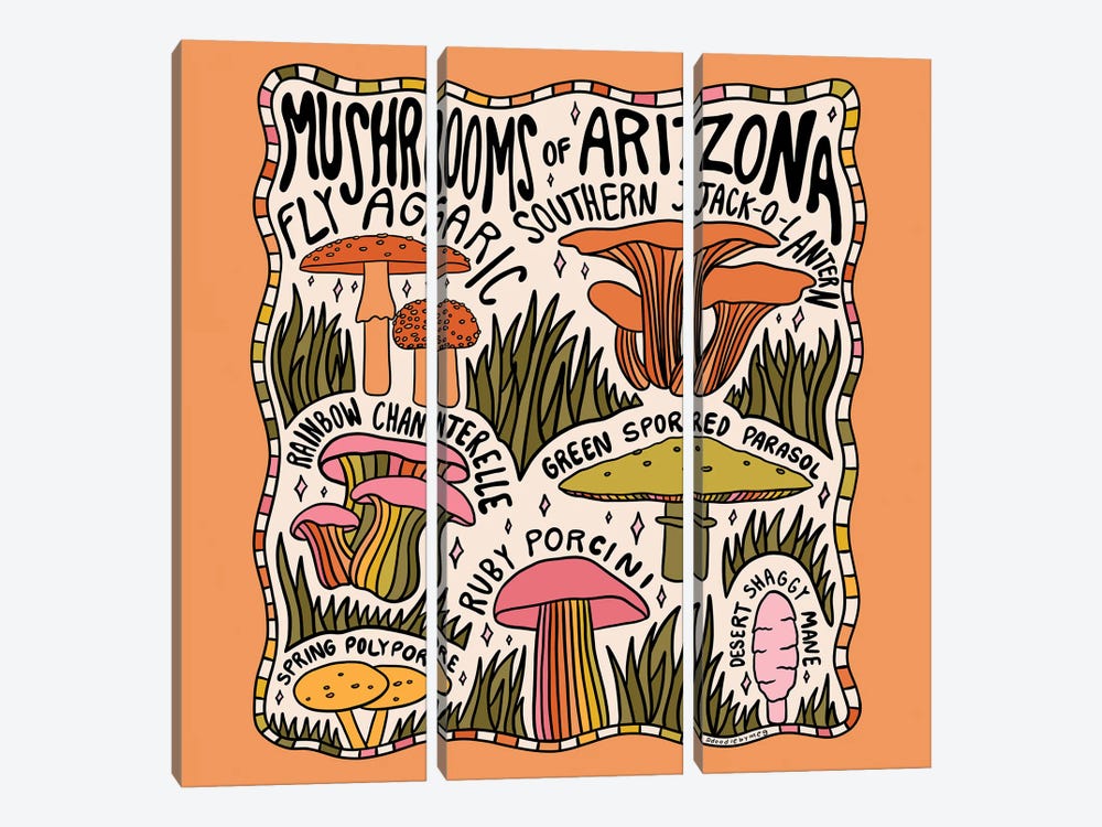 Mushrooms Of Arizona by Doodle By Meg 3-piece Canvas Art