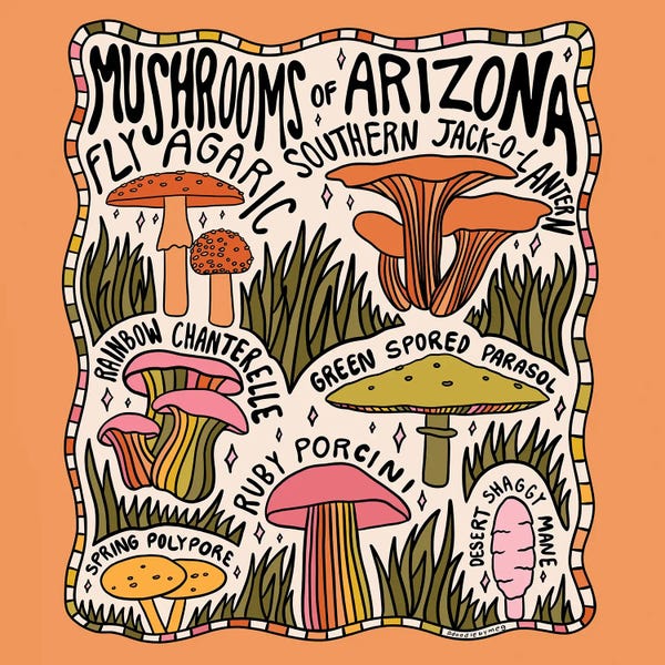 Arizona: Mushrooms Of Arizona by Doodle By Meg