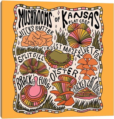 Mushrooms Of Kansas Canvas Art Print - Doodle By Meg