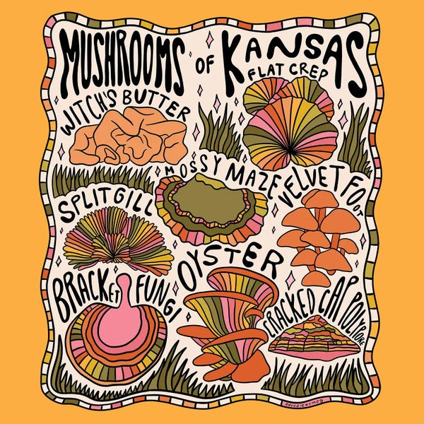 Kansas: Mushrooms Of Kansas by Doodle By Meg