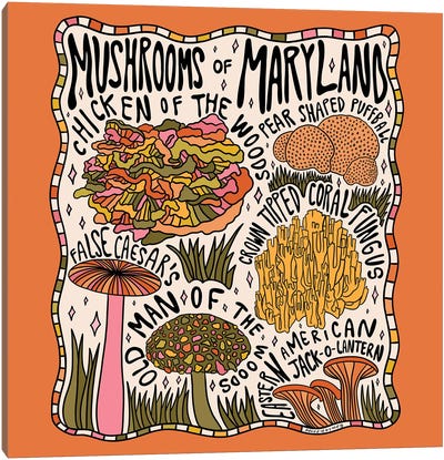 Mushrooms Of Maryland Canvas Art Print - Doodle By Meg