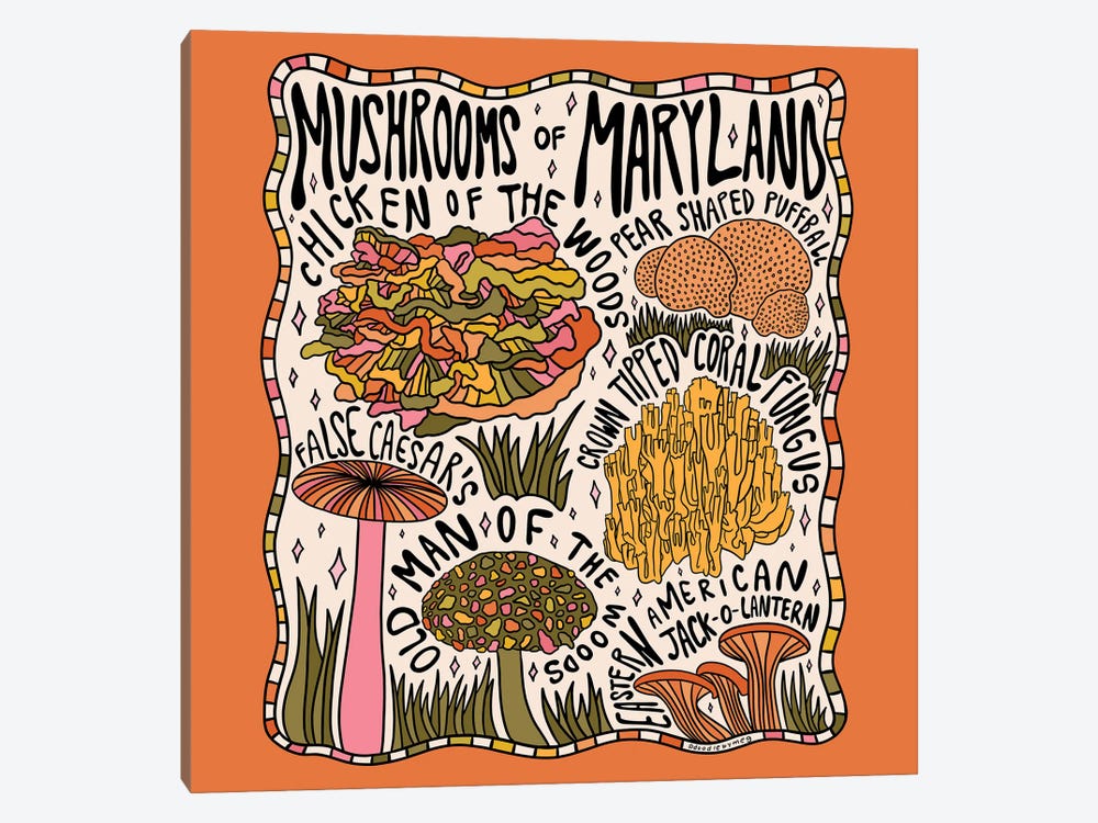 Mushrooms Of Maryland by Doodle By Meg 1-piece Canvas Artwork