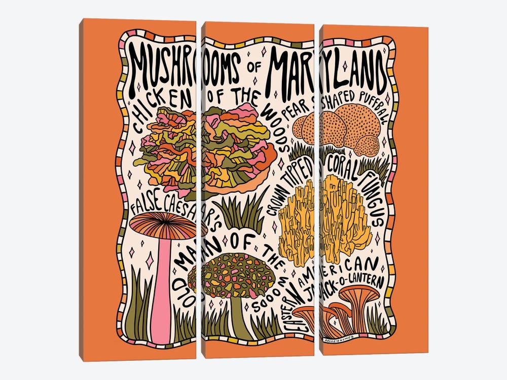 Mushrooms Of Maryland by Doodle By Meg 3-piece Canvas Art