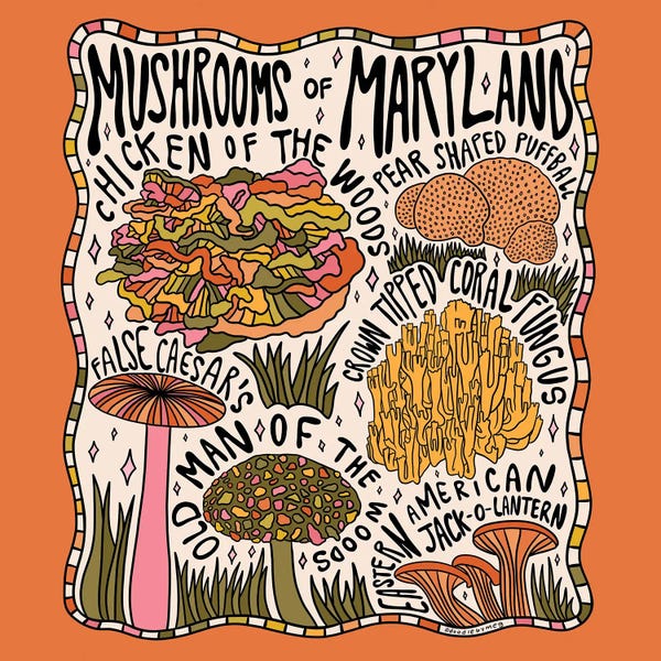 Maryland: Mushrooms Of Maryland by Doodle By Meg