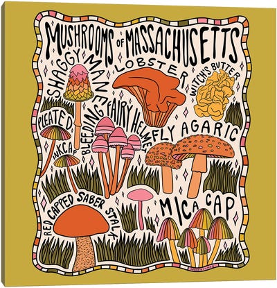 Mushrooms Of Massachusetts Canvas Art Print - Mushroom Art