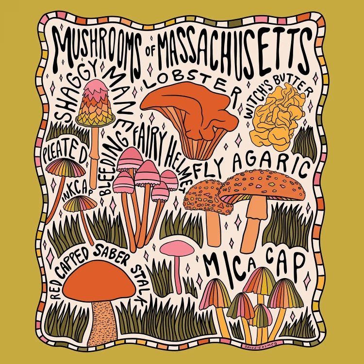 Mushrooms Of Massachusetts