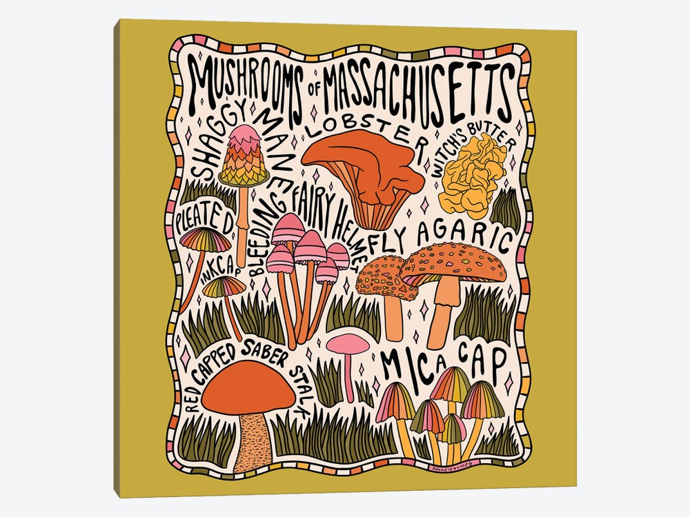 Mushrooms Of Massachusetts by Doodle By Meg 1-piece Art Print