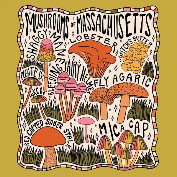 Massachusetts: Mushrooms Of Massachusetts by Doodle By Meg