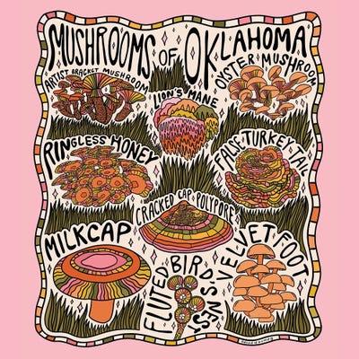 Mushrooms Of Oklahoma by Doodle By Meg canvas print