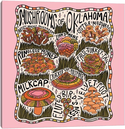 Mushrooms Of Oklahoma Canvas Art Print - Doodle By Meg