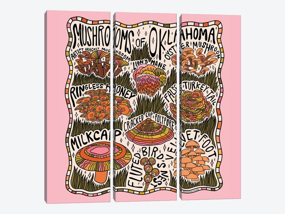 Mushrooms Of Oklahoma by Doodle By Meg 3-piece Canvas Print