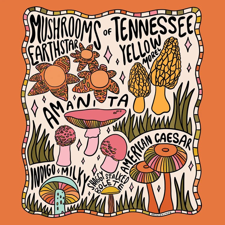 Mushrooms Of Tennessee