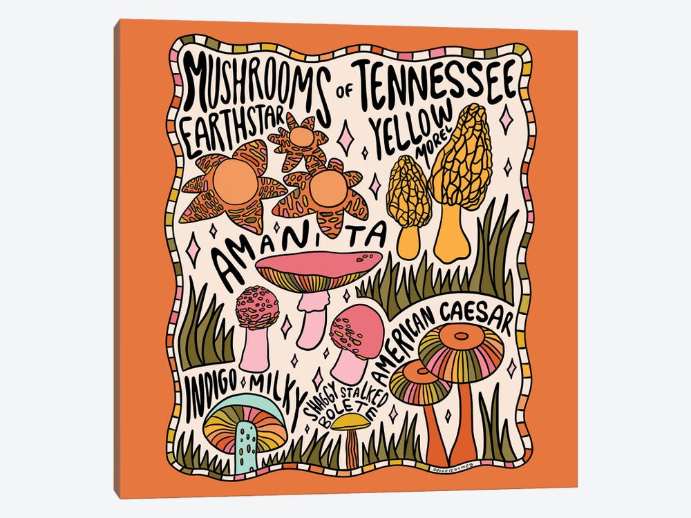 Mushrooms Of Tennessee by Doodle By Meg 1-piece Canvas Wall Art
