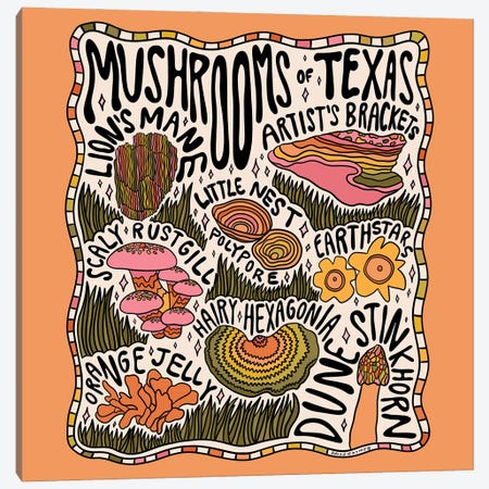 Mushrooms Of Texas Canvas Print #DDM112} by Doodle By Meg Canvas Wall Art