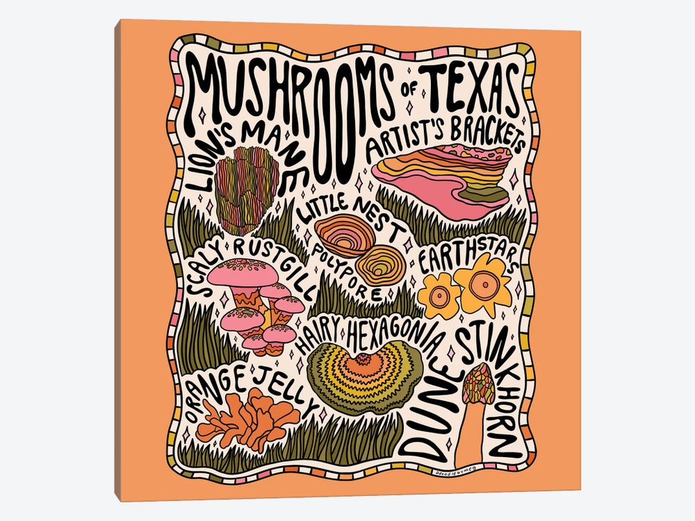 Mushrooms Of Texas by Doodle By Meg 1-piece Canvas Print