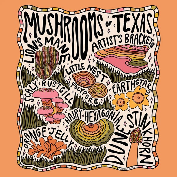 Canvas Print: Mushrooms Of Texas by Doodle By Meg