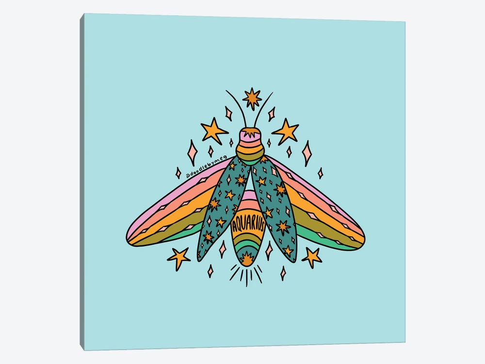 Aquarius Firefly by Doodle By Meg 1-piece Canvas Artwork